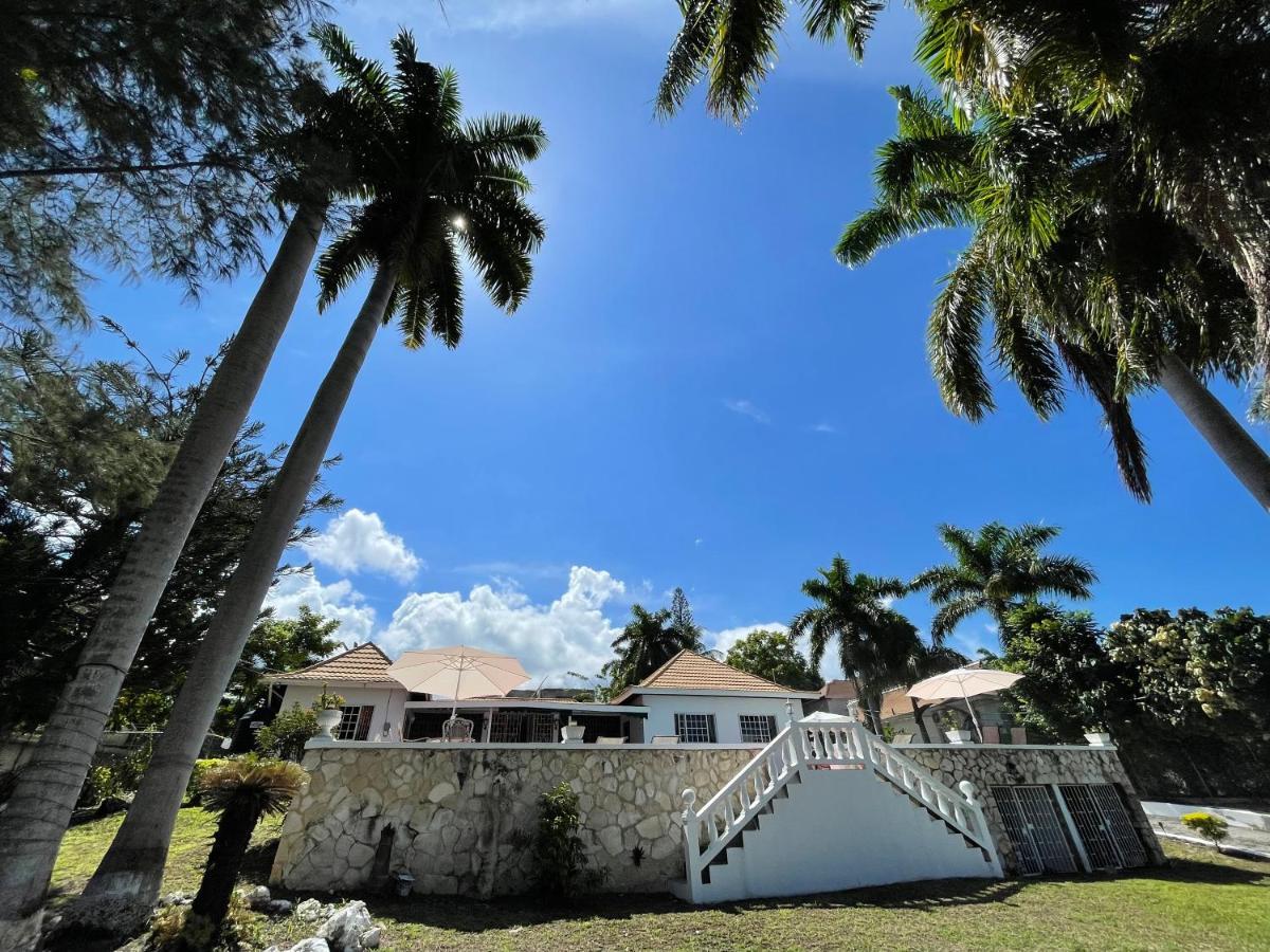 The Lodge @ Peaceful Palms Montego Bay Exteriér fotografie