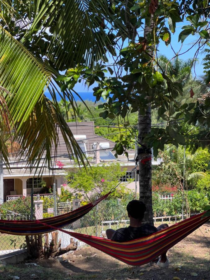 The Lodge @ Peaceful Palms Montego Bay Exteriér fotografie