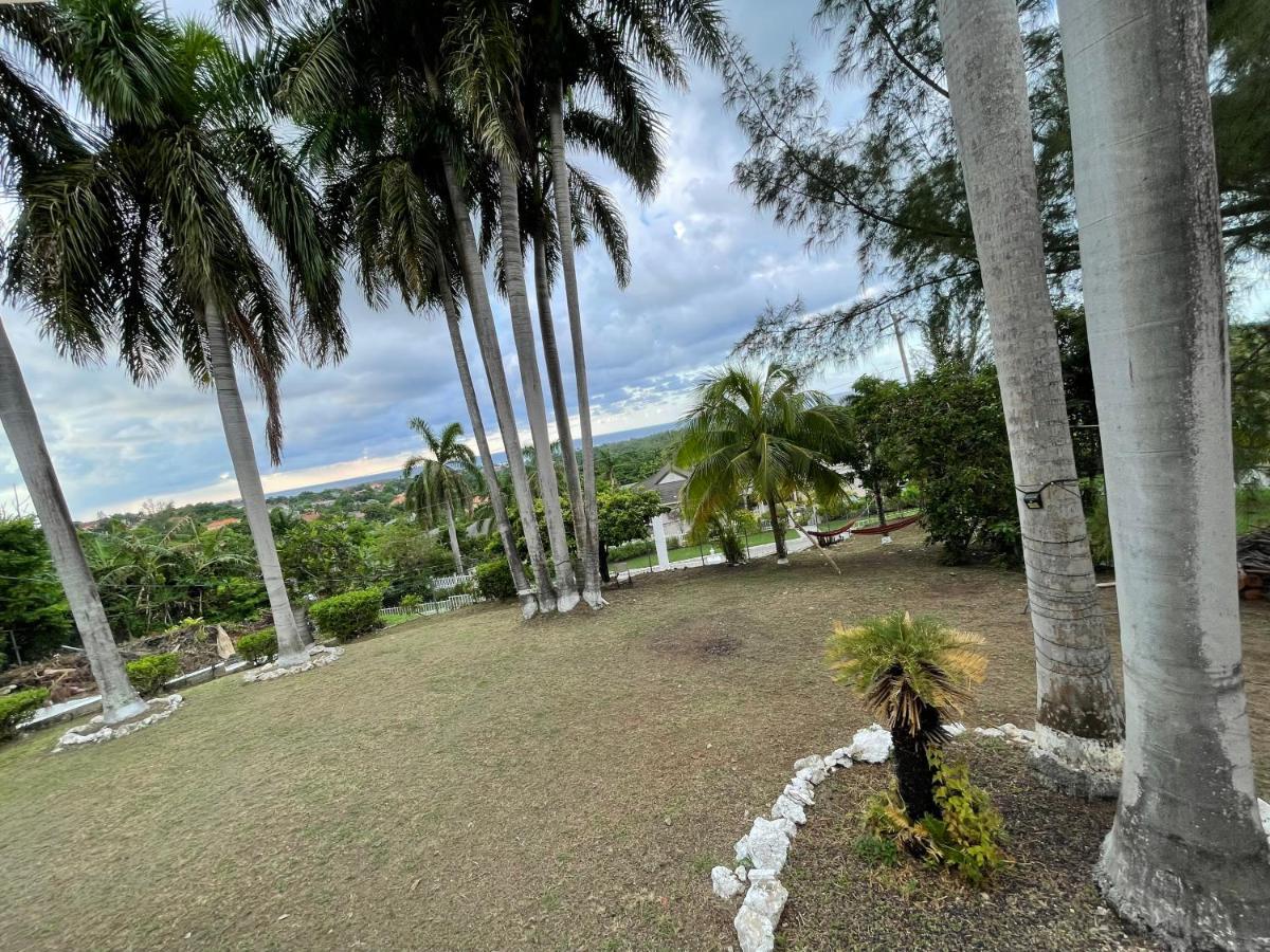 The Lodge @ Peaceful Palms Montego Bay Exteriér fotografie