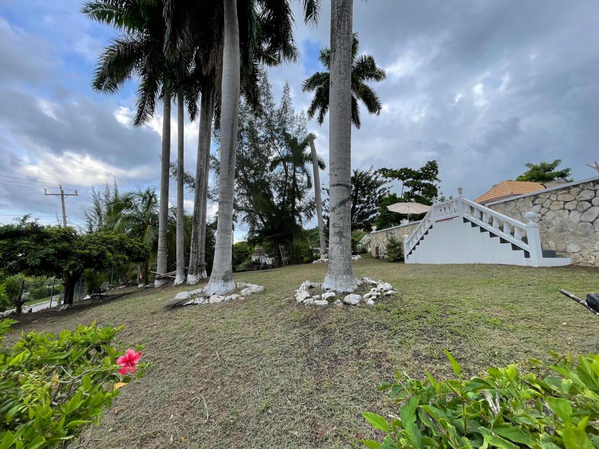 The Lodge @ Peaceful Palms Montego Bay Exteriér fotografie